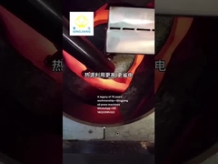 Rostatore di semi di qingjiang per macchine per la stampa a caldo di olio