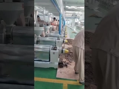 macchina per la stampa dell'olio di chili