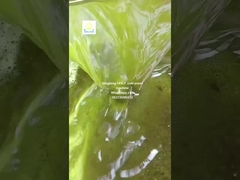 macchina per la stampa dell'olio di semi di girasole