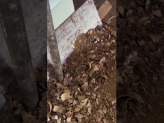 olio di semi di uva spremuto a freddo