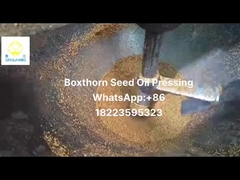 estrattore di olio pressato a freddo