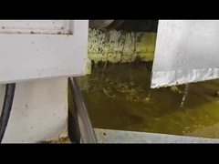 pressatura a freddo per l'olio di noce di cocco